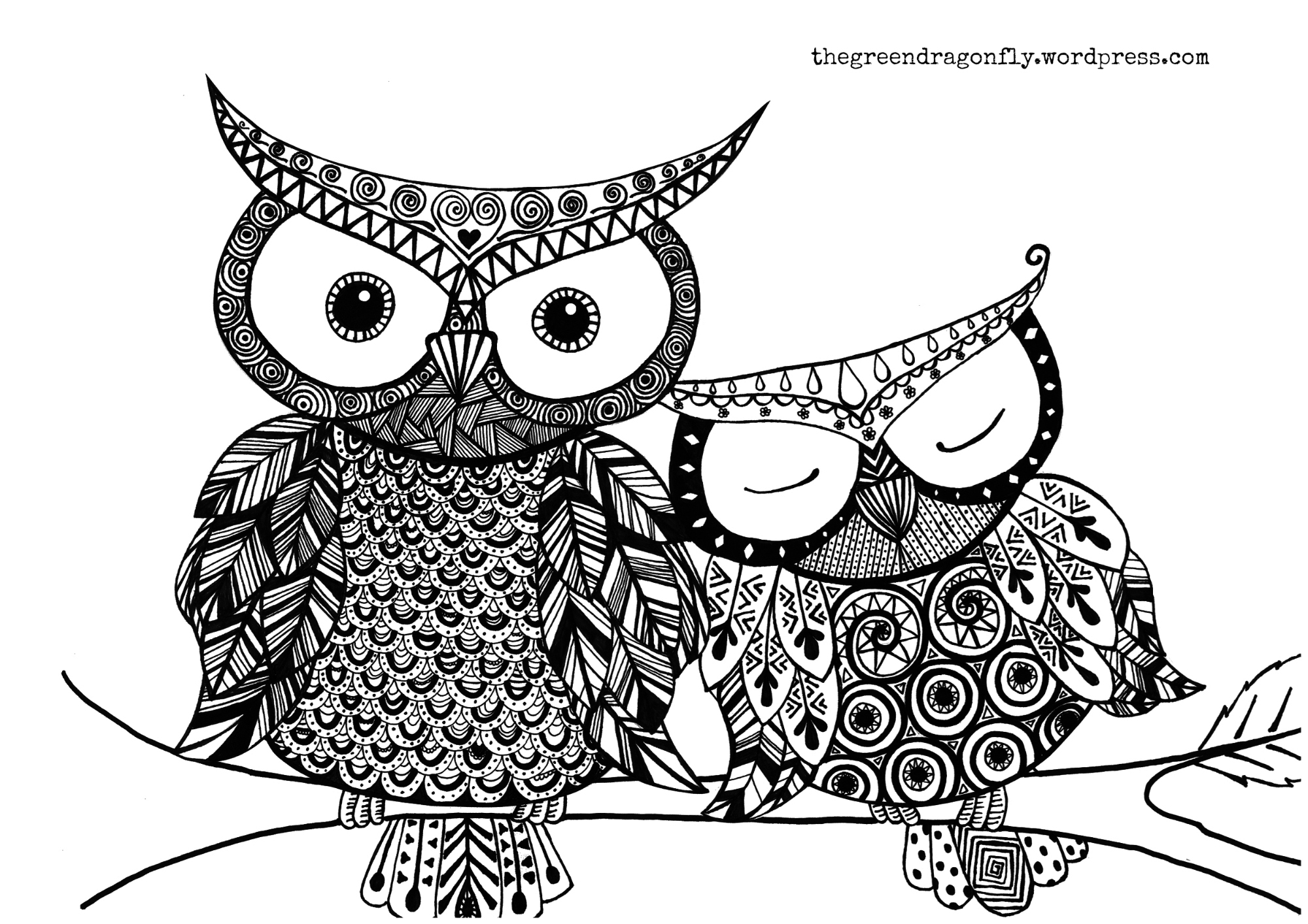 a owl coloring pages - photo #34